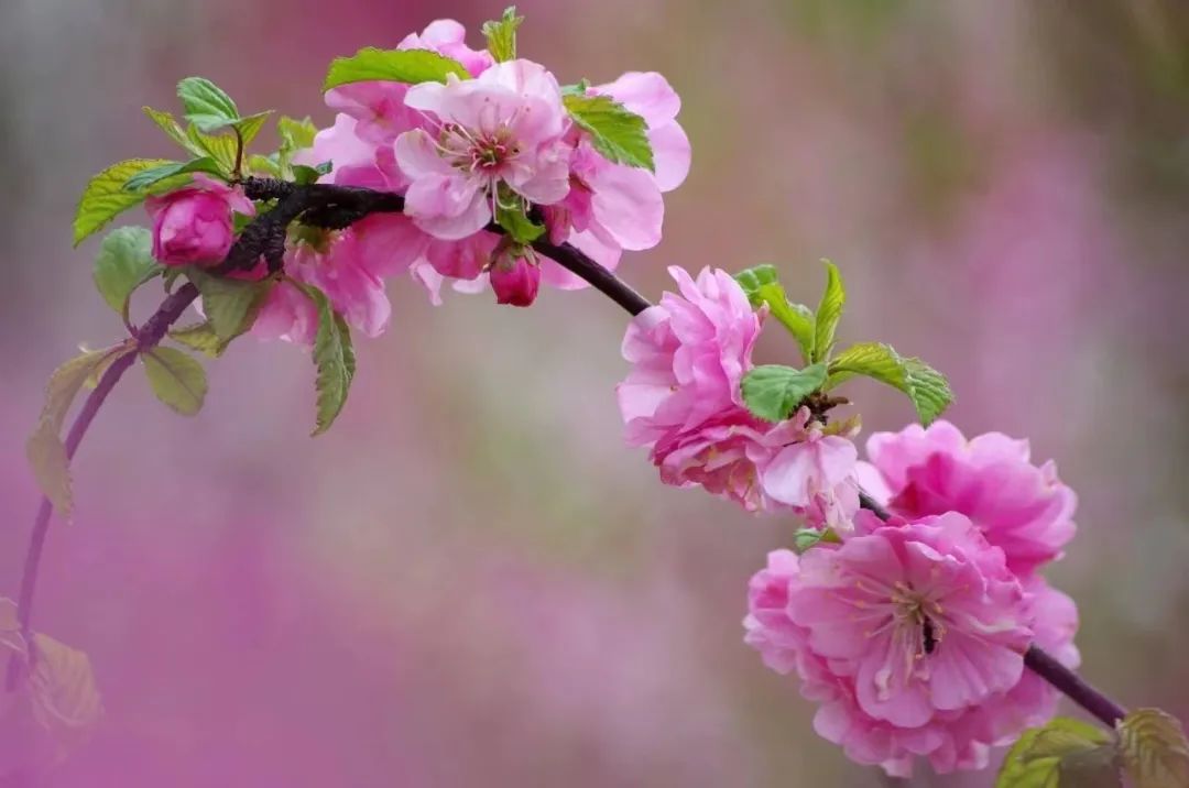 citywalk用脚步丈量城市,开启随性自由的citywalk