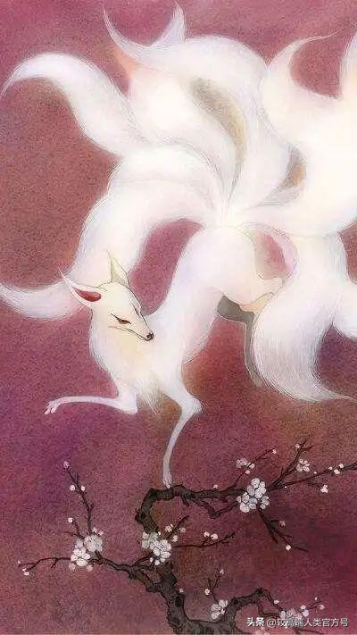 妖魔鬼怪认识孙悟空,妖魔鬼怪神仙区别