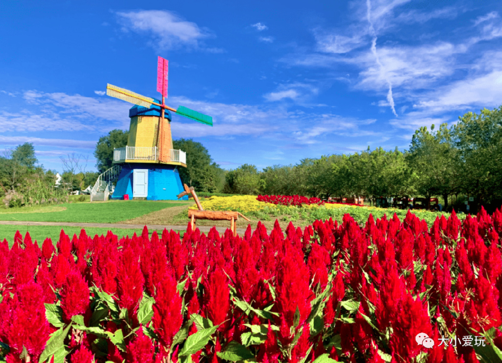 周末来袭快看看可以游玩的好去处 (游玩攻略这些地方你一定要看一看)