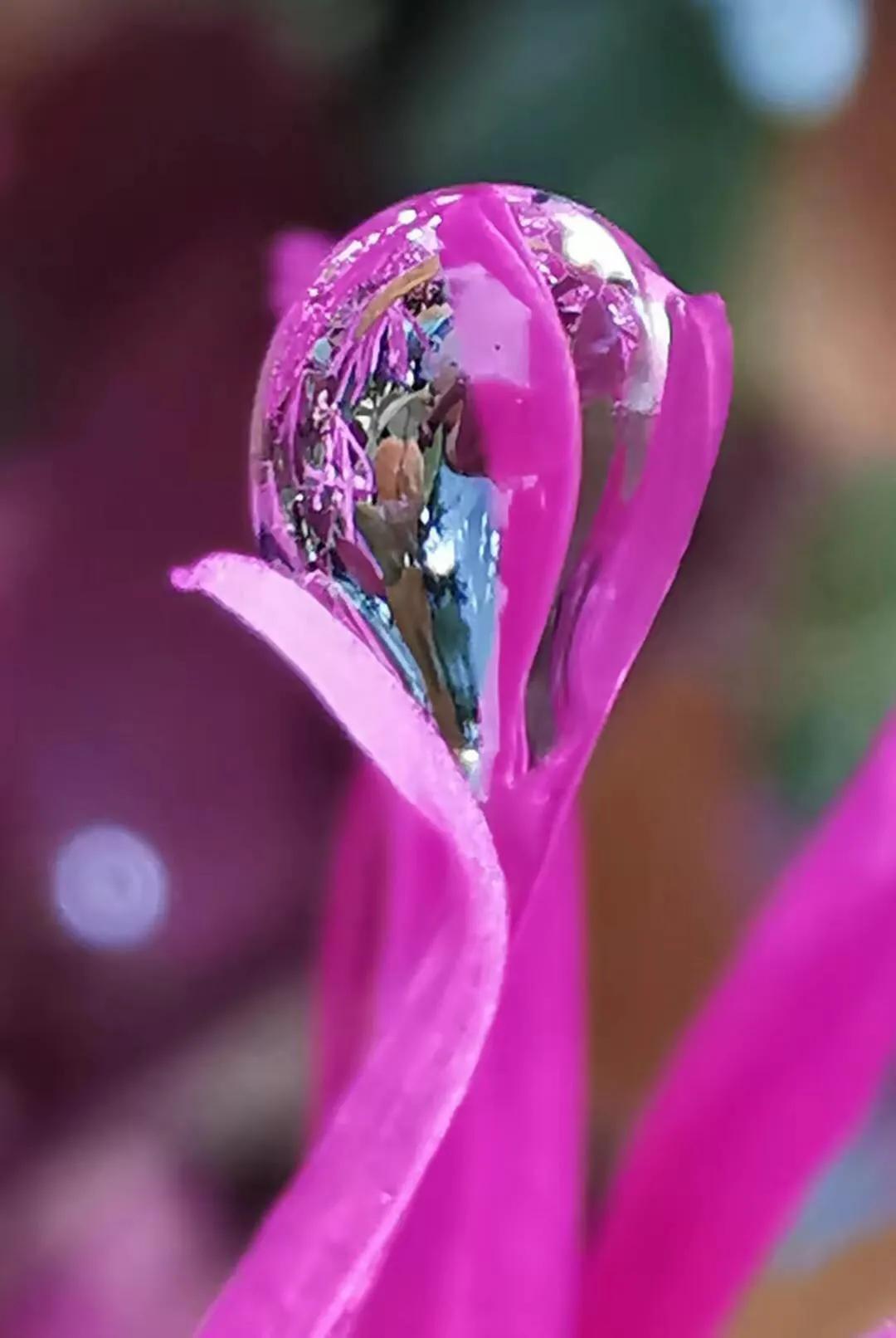 手拍世界（手机摄影平台）-第888期获奖作者创作体会（第889期）