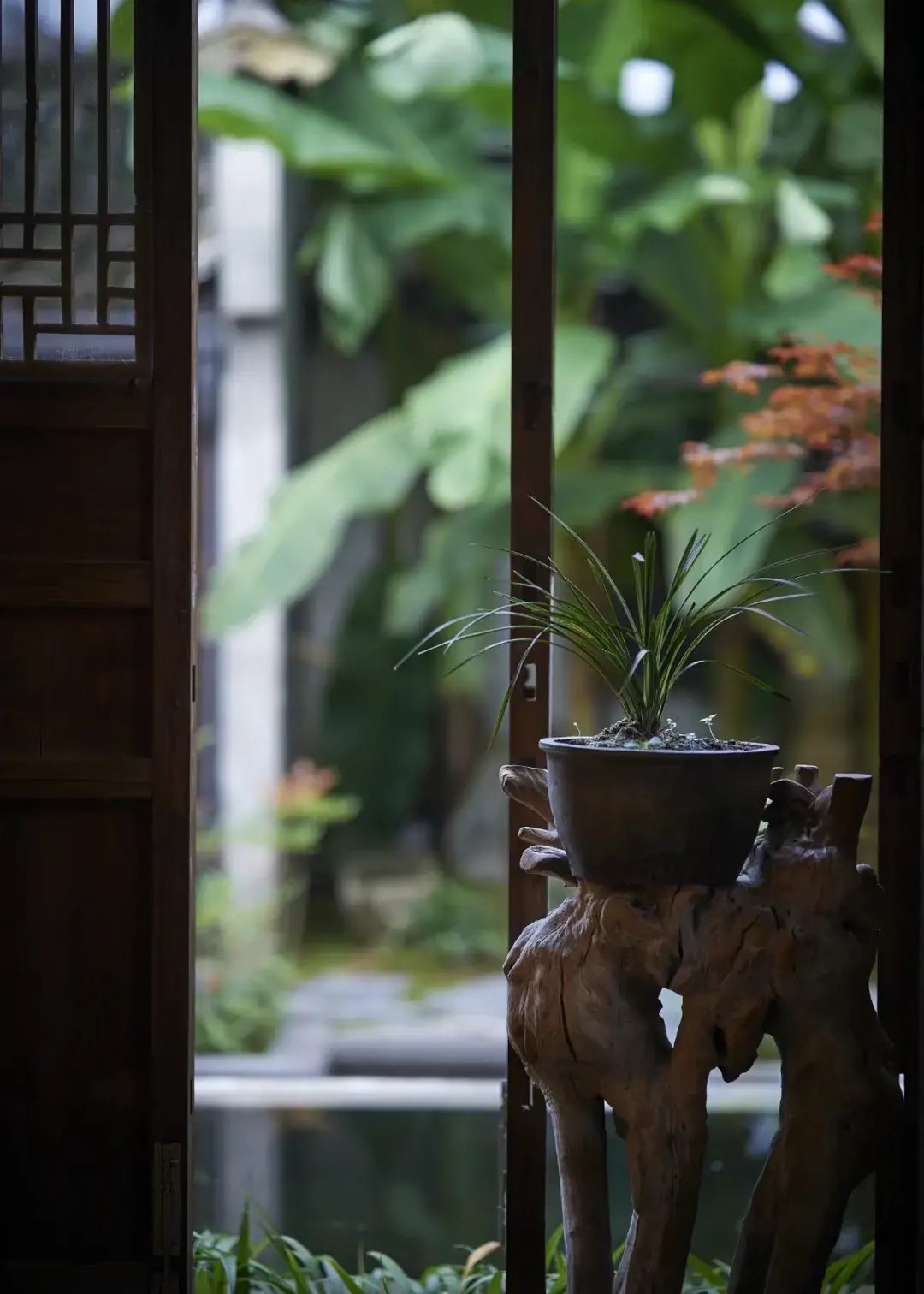 散文：繁花丛中坐，淡雅一闲人