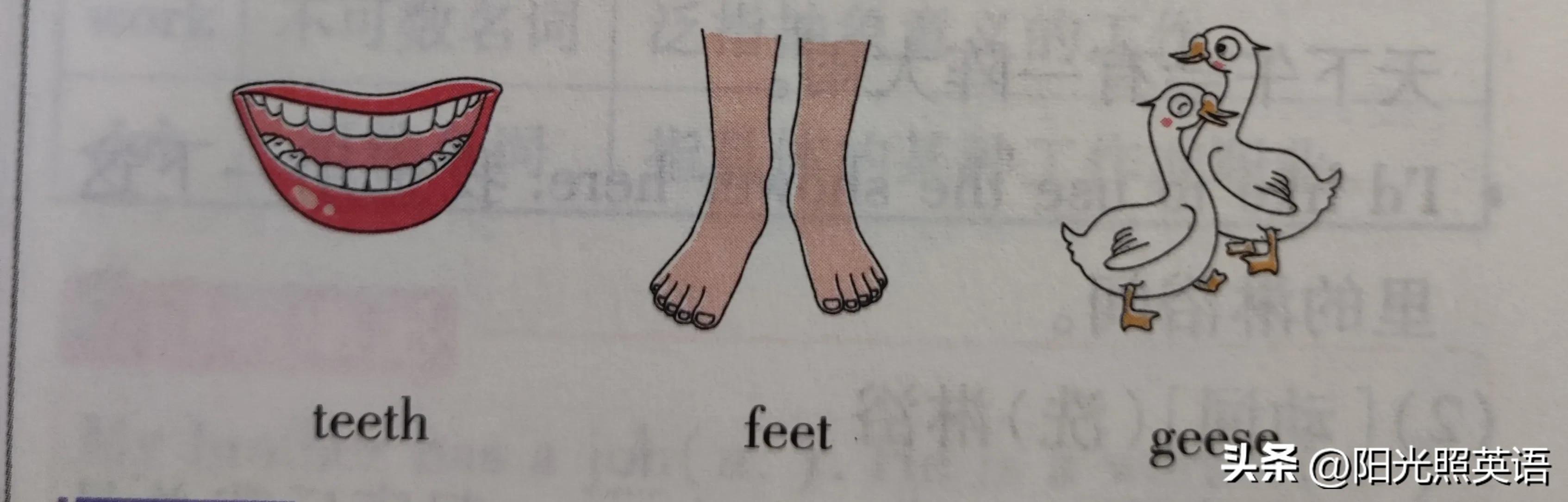 初中9年级英语unit10单词讲解,七年级英语下unit2单词讲解