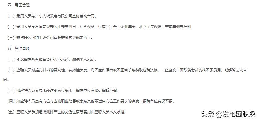 广东粤电大埔,粤电大埔