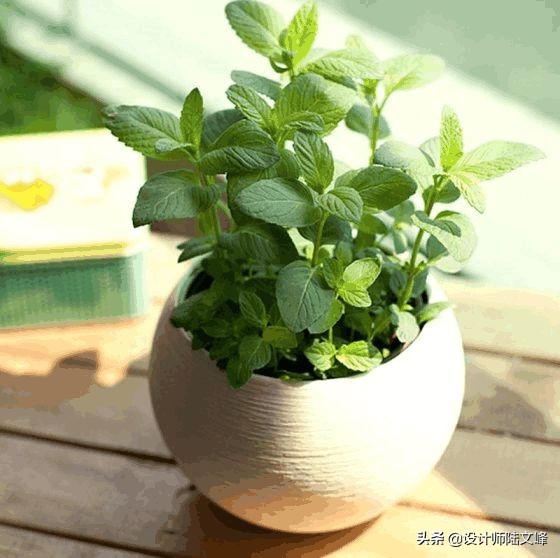 房屋主灯设计与无主灯设计哪个好,无主灯设计需要全屋弄吗