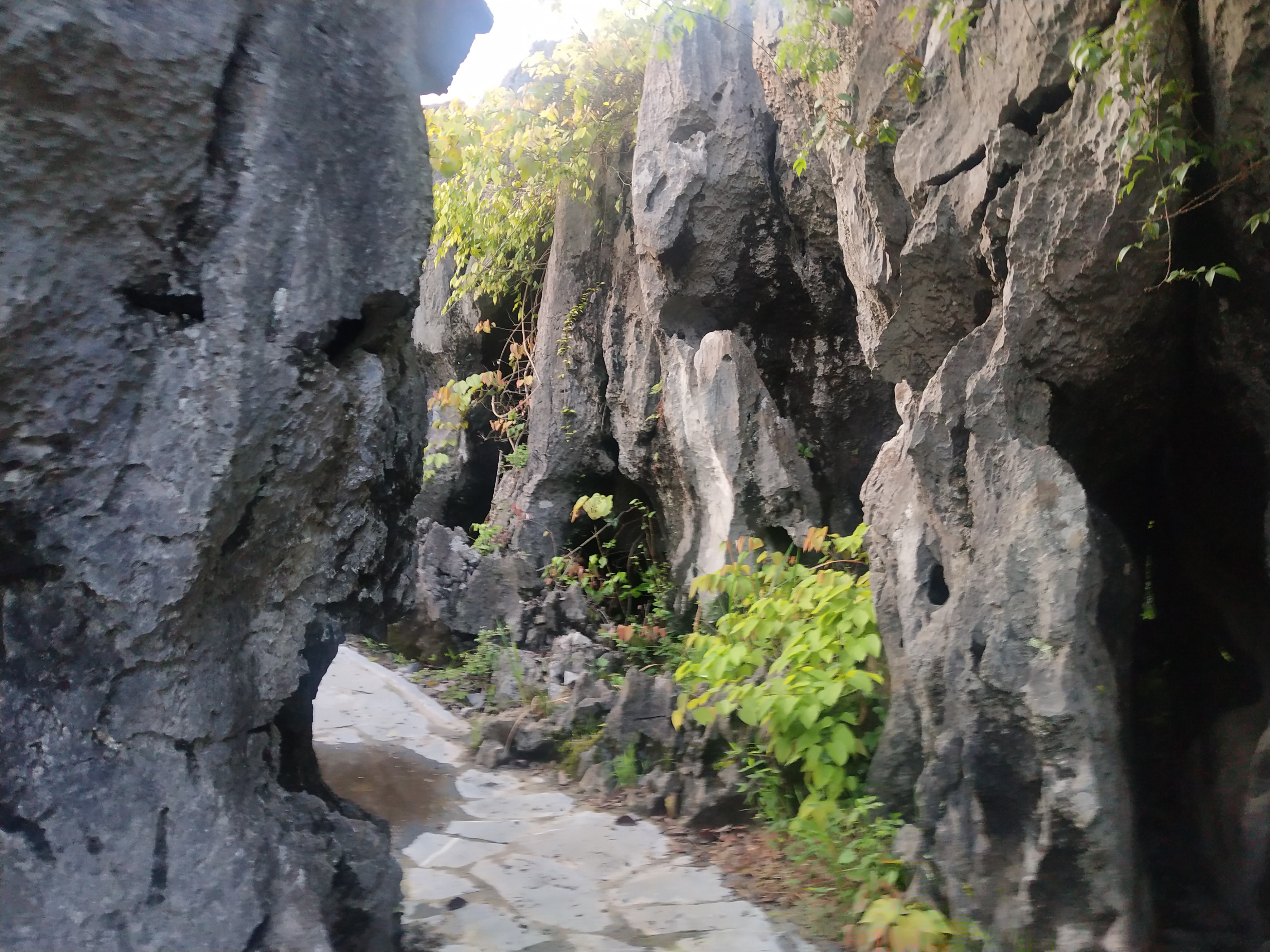 2020灌阳文市石林要门票吗,灌阳文市石林景区门票是多少