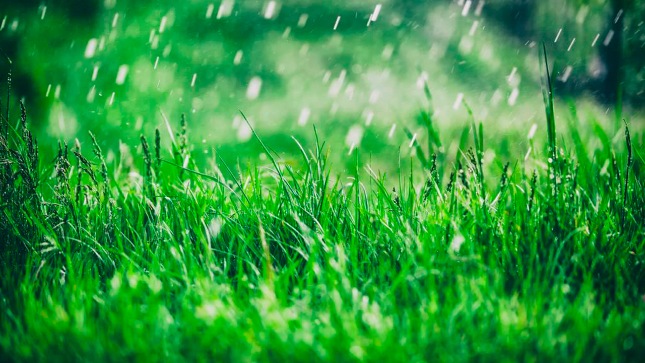 炎炎夏日心静自然凉经典语录,炎炎夏日何以解暑唯有空调