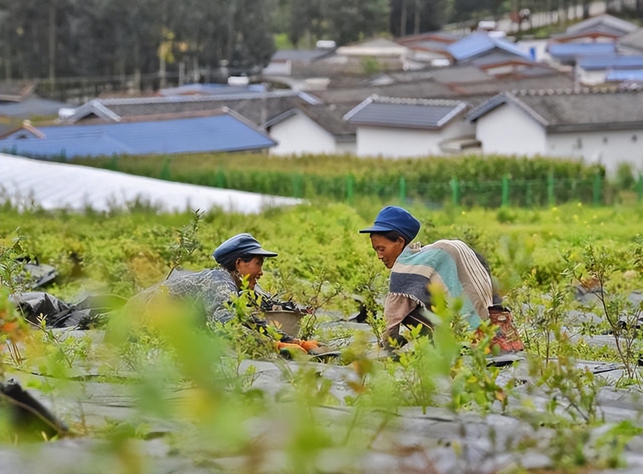 战胜困境的最好方法,怎样消除贫困促进可持续发展