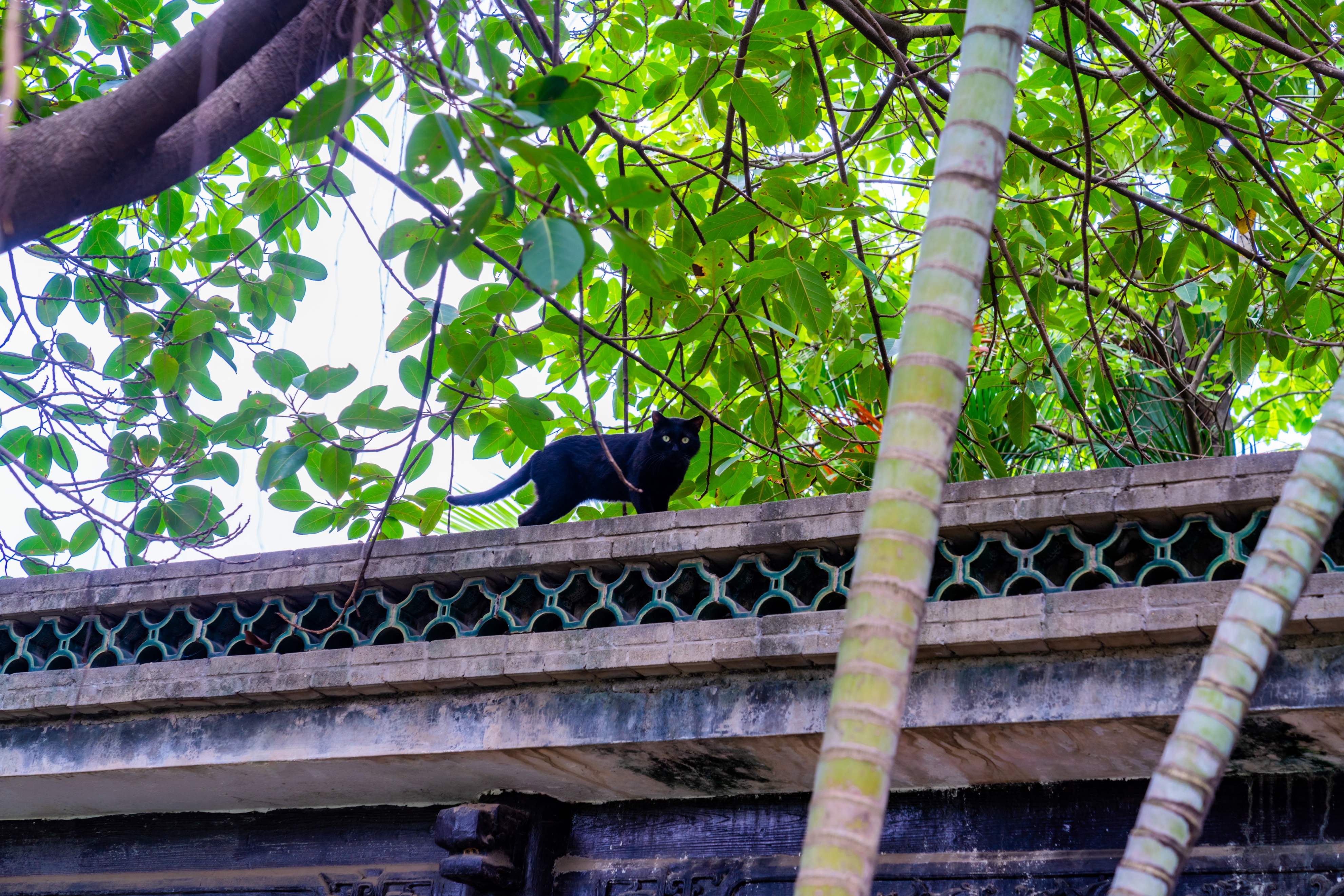 粤晖园国庆游,粤晖园自驾游攻略