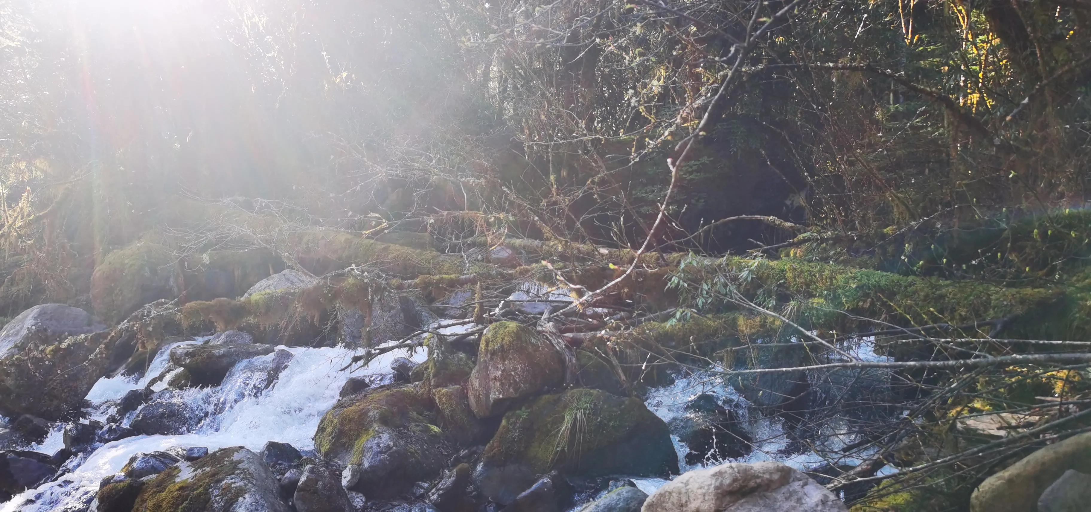 中国百慕大黑竹沟了解一下,中国百慕大黑竹沟近期气温