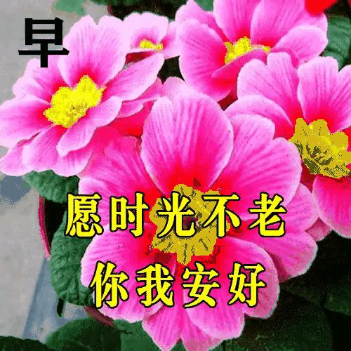 庚子日柱2023年癸卯年运势,癸卯年2023年哪个月出生最好