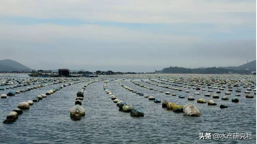 水产用药量怎么计算,水产药怎么换算一吨用量