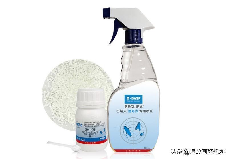修正杀蟑胶饵能彻底杀死蟑螂吗,消灭蟑螂最高效最彻底的方法