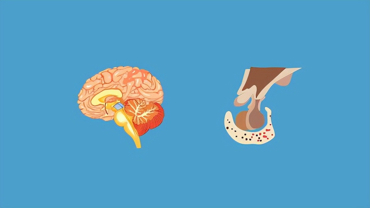 和别人打架腿抖是什么情况,一吵架打架身体发抖是什么原因