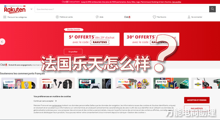 法国乐天平台好出单吗,法国乐天中国卖家怎么发货