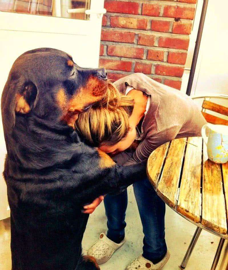 女生养大狗什么心理,养大狗的女生