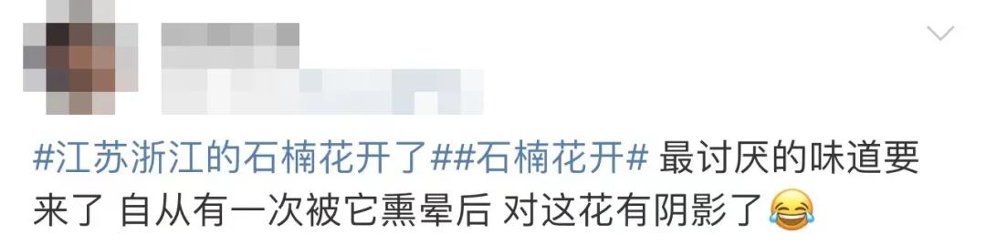 最近一种好臭的花,为什么这么臭的花还要种满条街