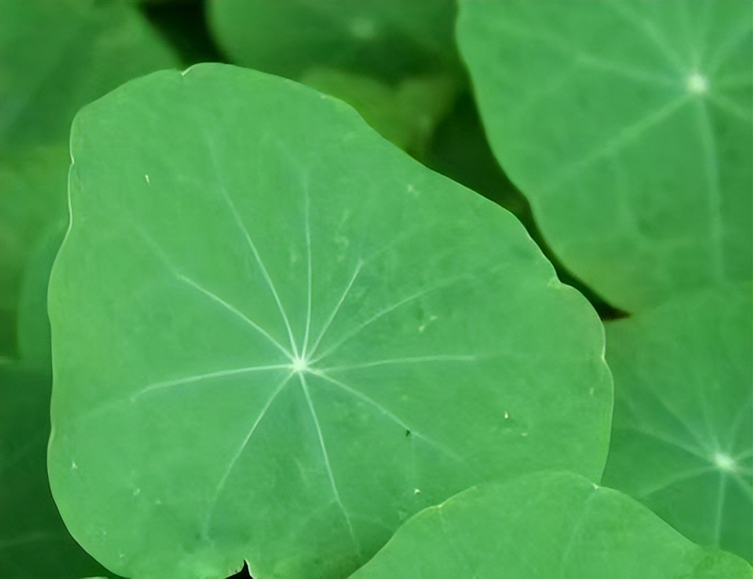 男女之间的10个真相太扎心了,男女之间真正应该了解的是什么