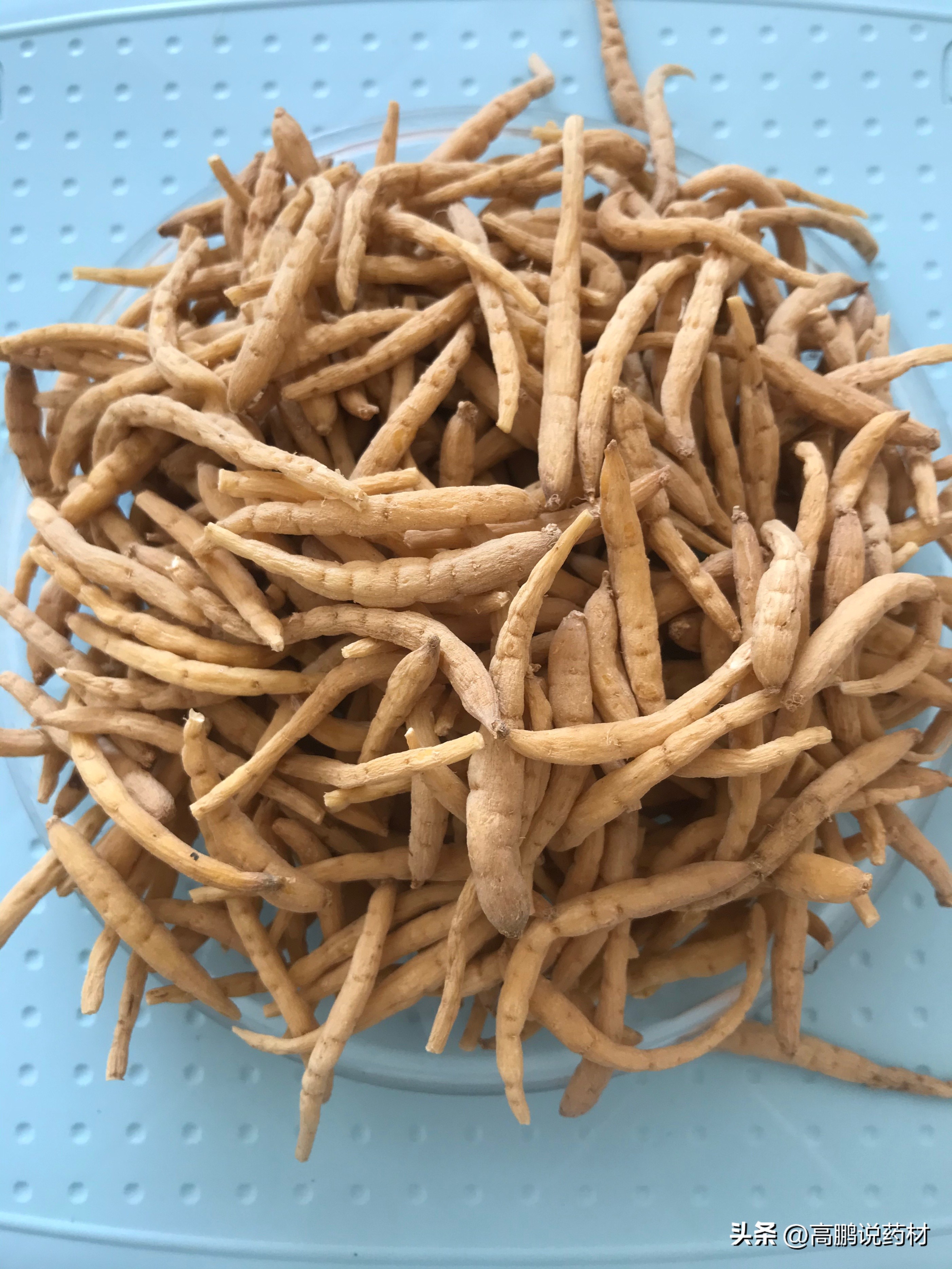 高鹏说药材:太子参、人参、柴胡、蛇床子、蒺藜等近期行情简析