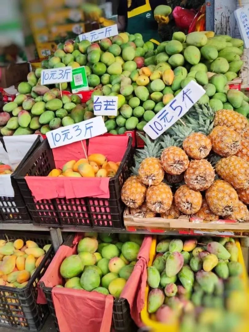 海南环岛自驾游6天住哪里,海南岛自驾性价比最高旅游攻略
