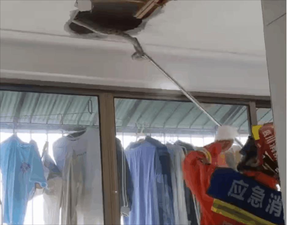 男子睡觉被蛇缠脚,男子被蛇缠腿3米