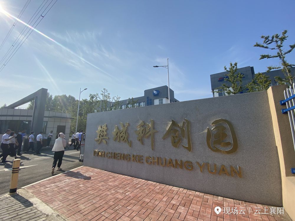 近期亮点项目分享,藏不住了的惊喜清单