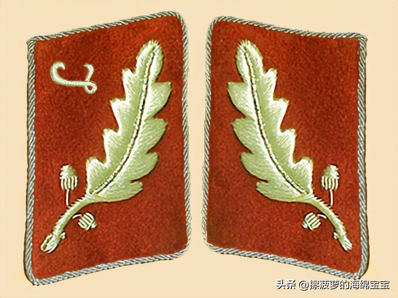 纳粹冲锋队用的什么枪,纳粹德军军衔图解