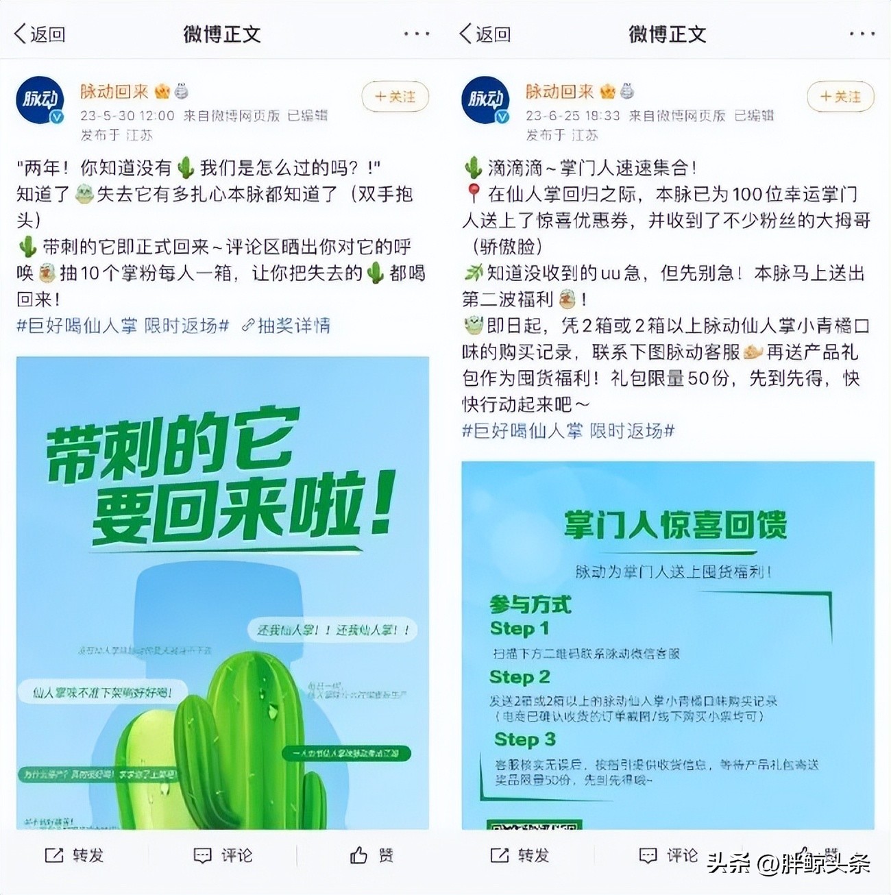 仙人掌味脉动讲解,仙人掌味的脉动原版