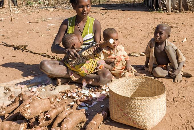 假红薯粉条曝光,315报道木薯粉条事件