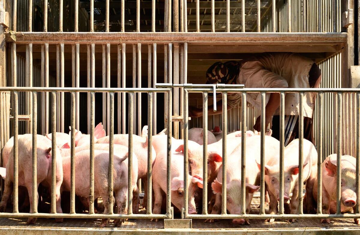 房子砸手里,房子砸在谁手里才是软着陆