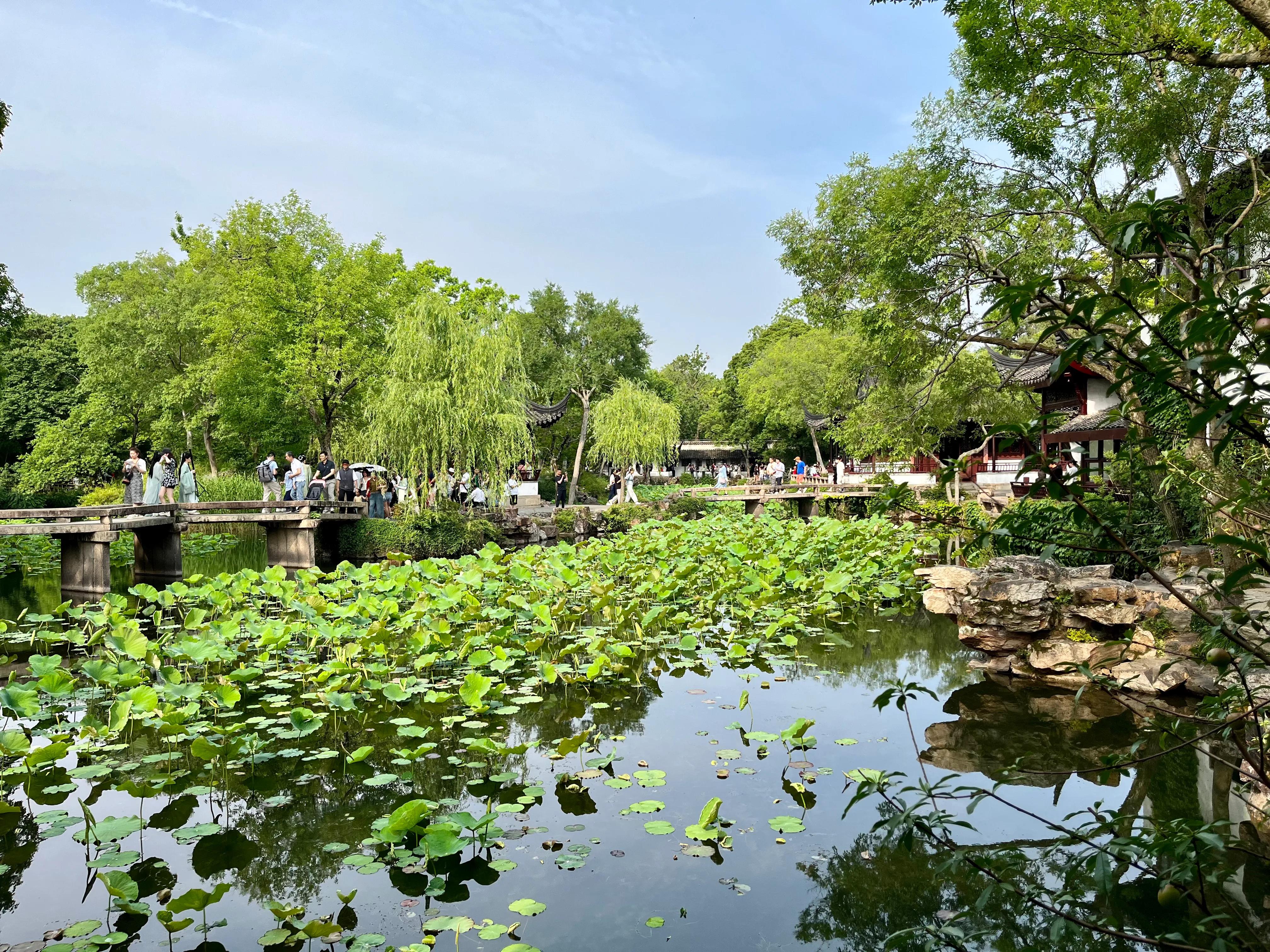 拙政园大隐隐于市,大隐隐于市安享中式庭院之美