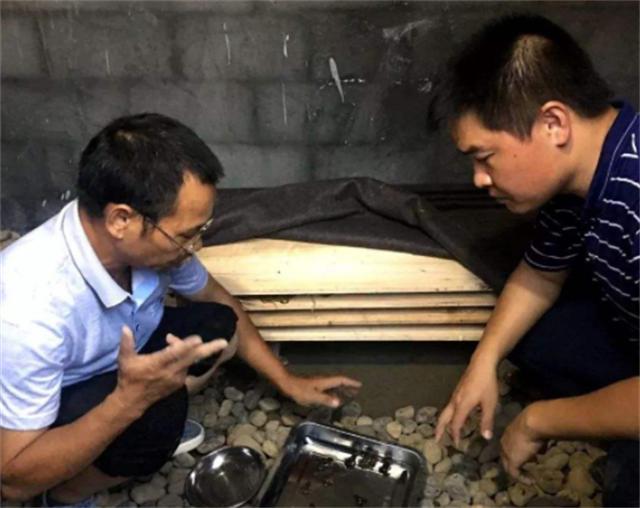 广西养蛇者被毒蛇咬死,广西养蛇第一人