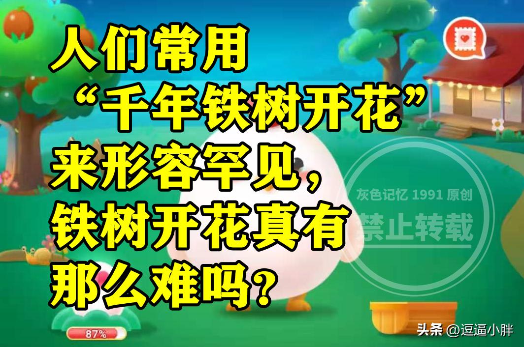 为什么说铁树开花千年难遇,怎么形容铁树开花