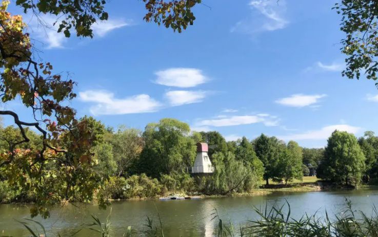 南京中山植物园风景景点,南京中山植物园游玩攻略