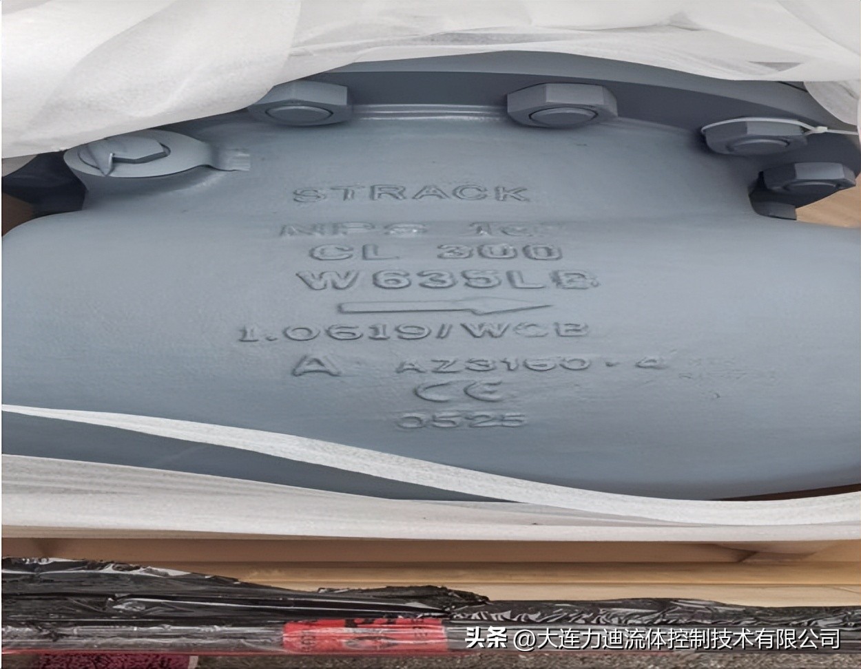 德国烟道防火止回阀,德国进口烟道止回阀