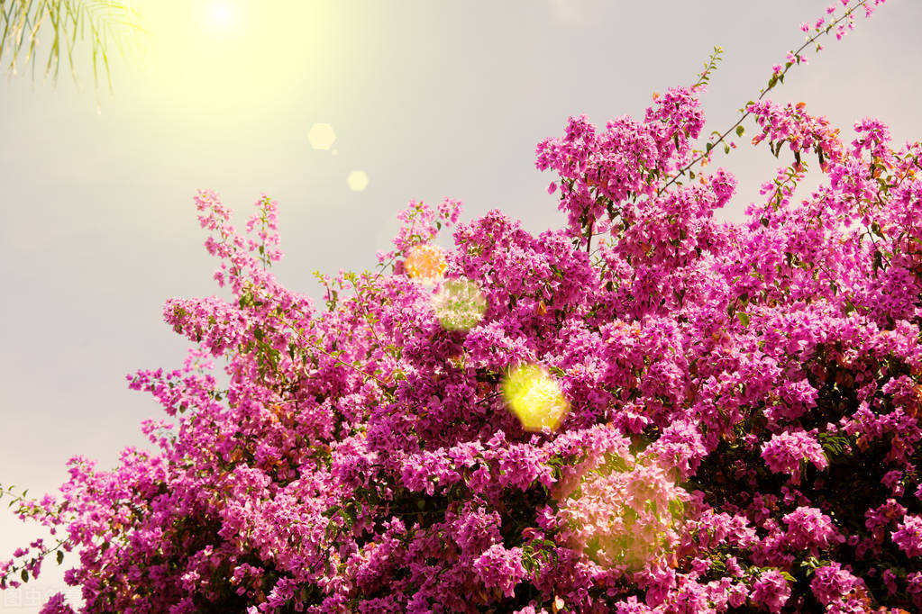 22个护肤小妙招,护肤妙招大全视频