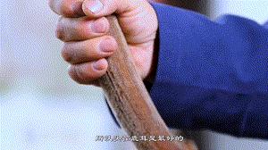 中药材炮制是千年非遗技艺,干鹿茸最原始的炮制方法