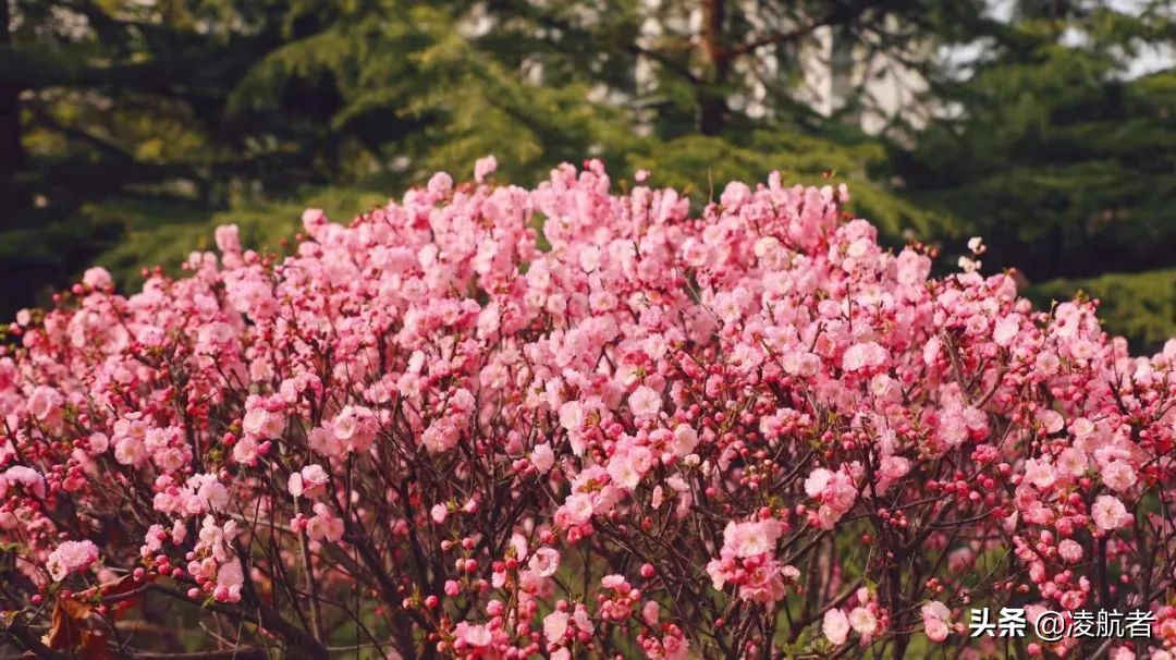 共赴春之约携手新征程,共赴春天之约携手砥砺前行