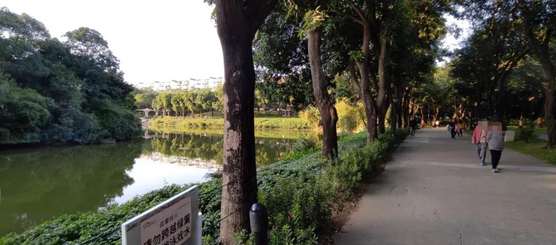 说说踩盘祈福新村的体验|倚湖湾、倚云居、晓峰园和迎风阁