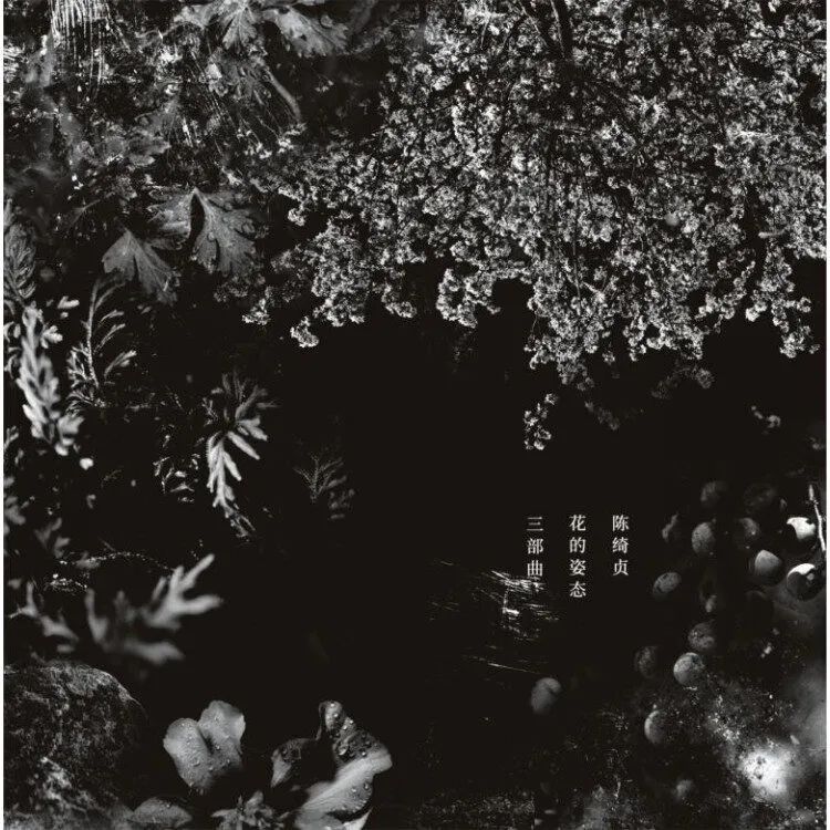 2018星外星音乐年度艺人唱片销量,2022年华语歌曲年终盘点