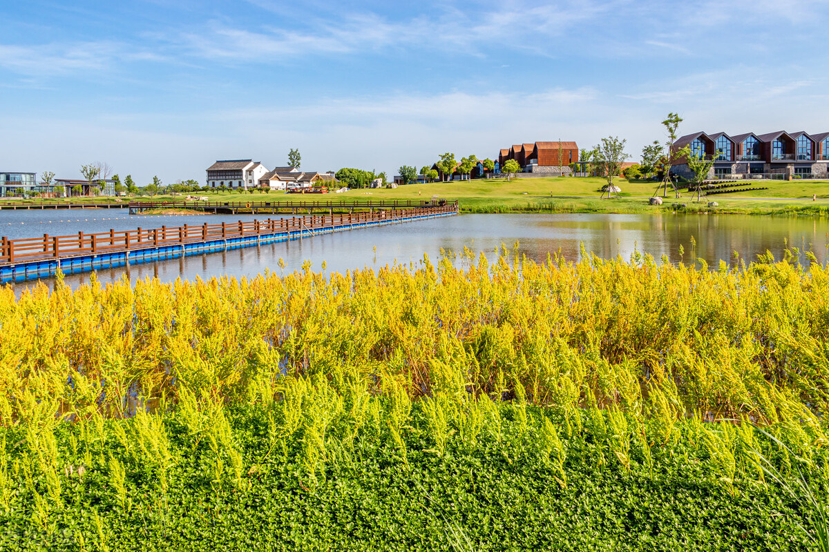 南京可以露营看星星的地方,南京附近自驾游2-3天露营推荐