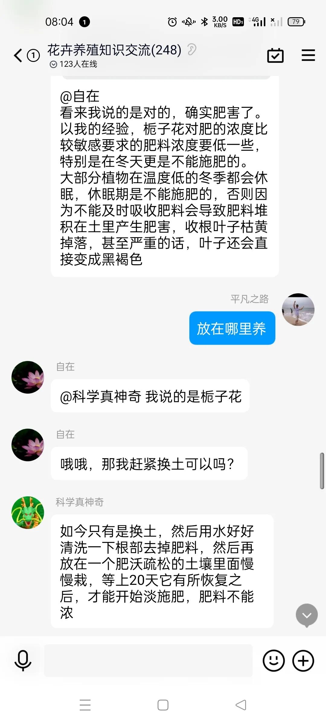 我家的绿植黄叶了怎么办,绿植出现病虫害怎么处理