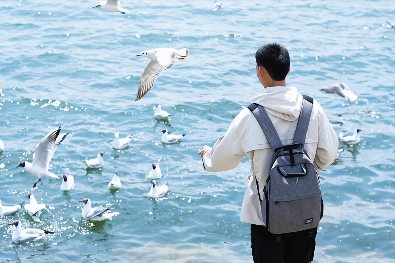 去云南旅游攻略及费用要多少元,去云南旅游攻略及费用大概多少元