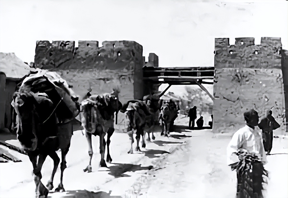 下南洋华人移民史,下南洋时中国人在南洋做过什么事