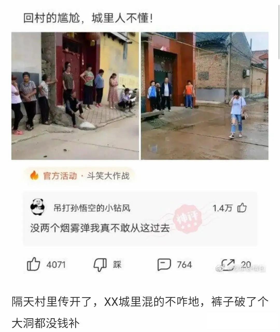 狗子看猫咪很轻松地就上去了，也学着来，结果把猫咪的窝给砸了