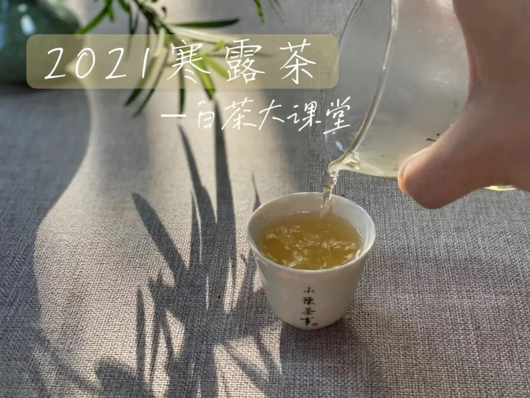 好的白茶茶汤的口感以什么为主,什么味道的白茶才是好白茶