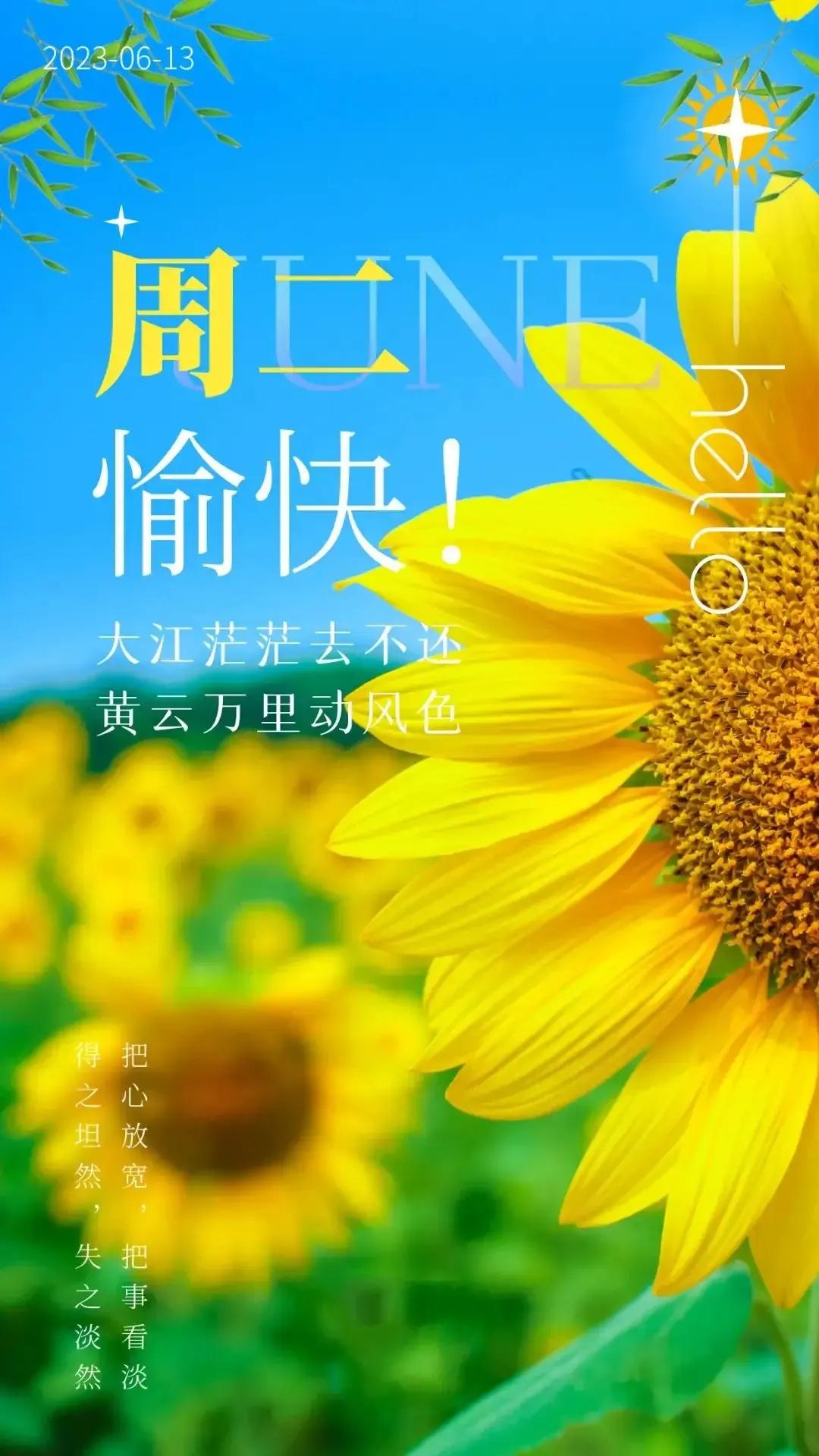 乙木命2023年癸卯年运势怎样,农历2023年癸卯年正月结婚吉日