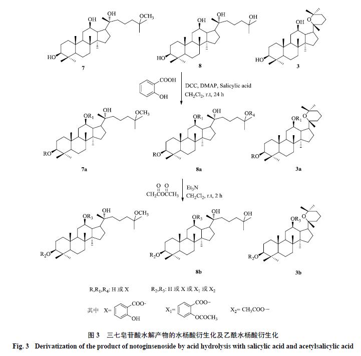 人参皂苷类化合物,人参皂苷结合物