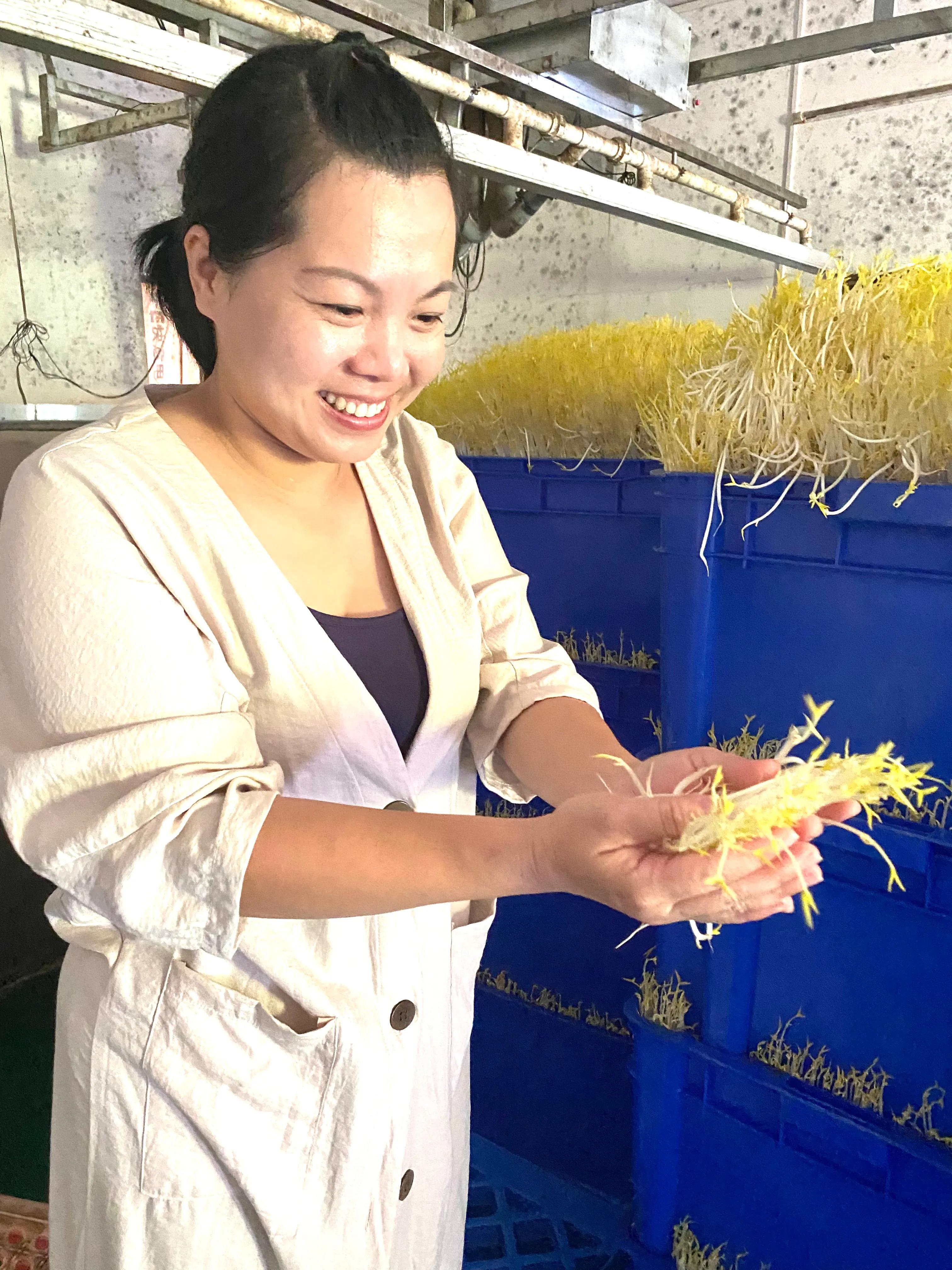 海南湖北籍企业家王攀小豆芽大梦想欲让海口市民吃上正宗“鄂”菜