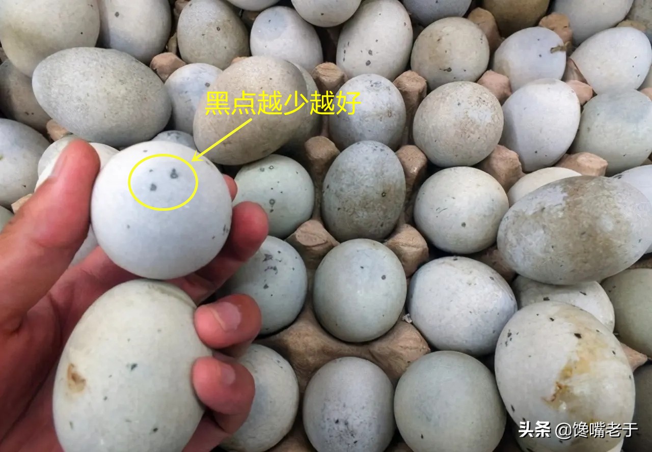 刚买回来的皮蛋还要煮吗,皮蛋蛋清部分化了能吃吗