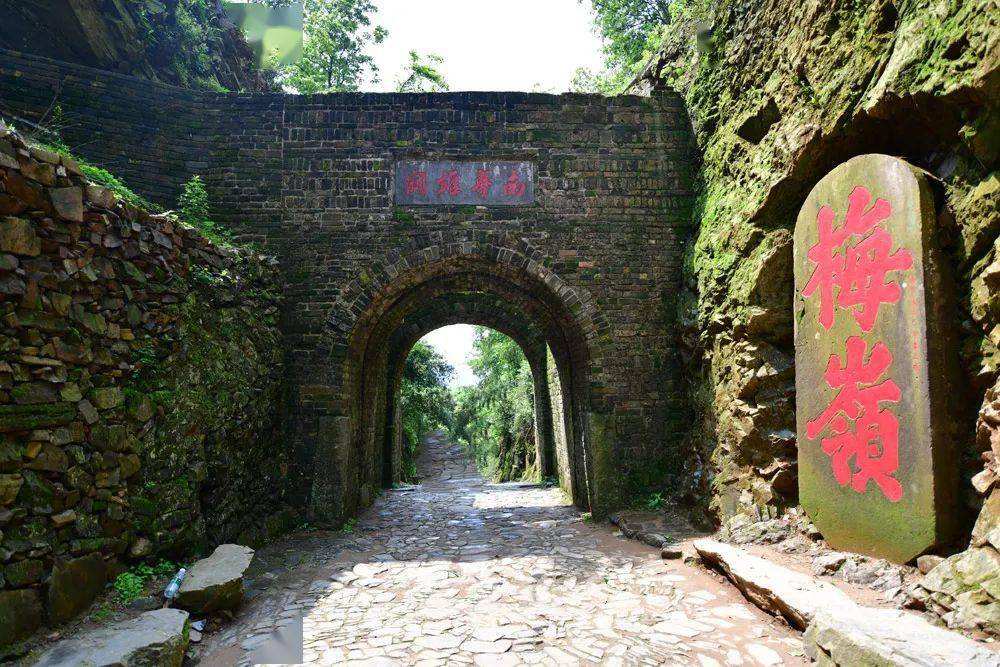 游击队政委要枪毙逃兵，陈毅大怒：你跟*动反**派有何区别